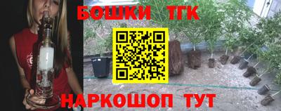 стаф Усть-Илимск